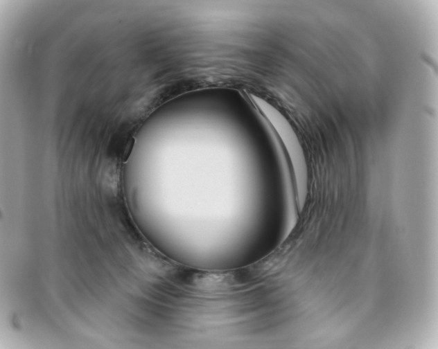 X0000095900129200802011137