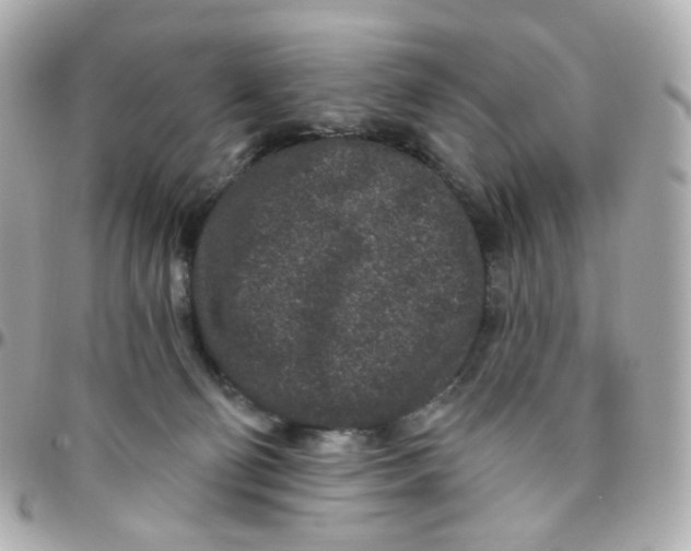 X0000095900130200802011137