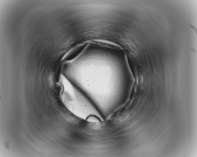 X0000095900131200802011136