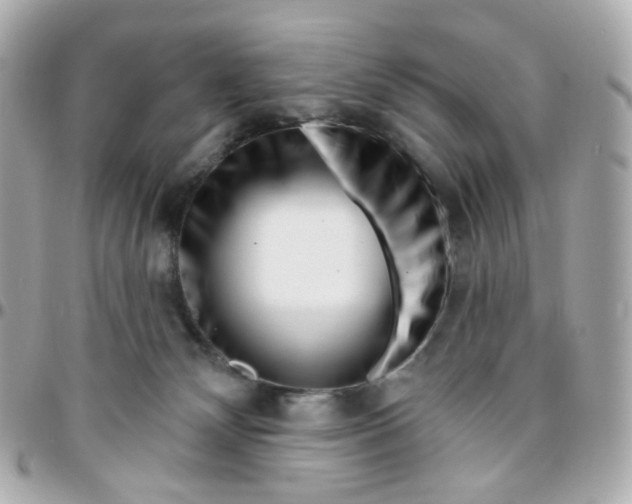 X0000095900132200802011136