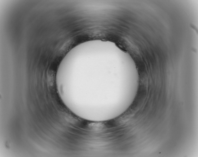 X0000095900133200802011136