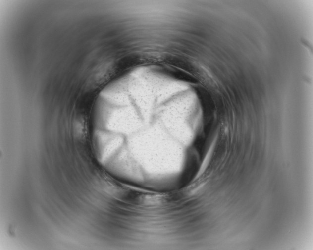 X0000095900134200802011136