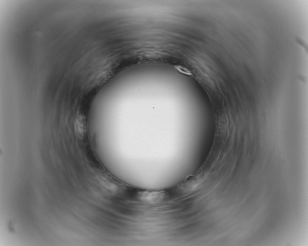 X0000095900135200802011136