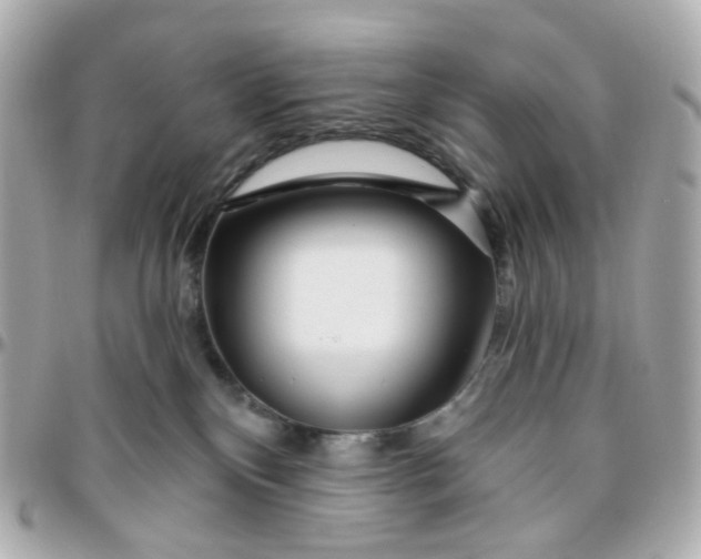 X0000095900136200802011136