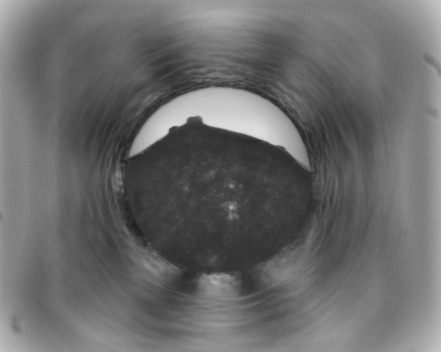 X0000095900137200802011136