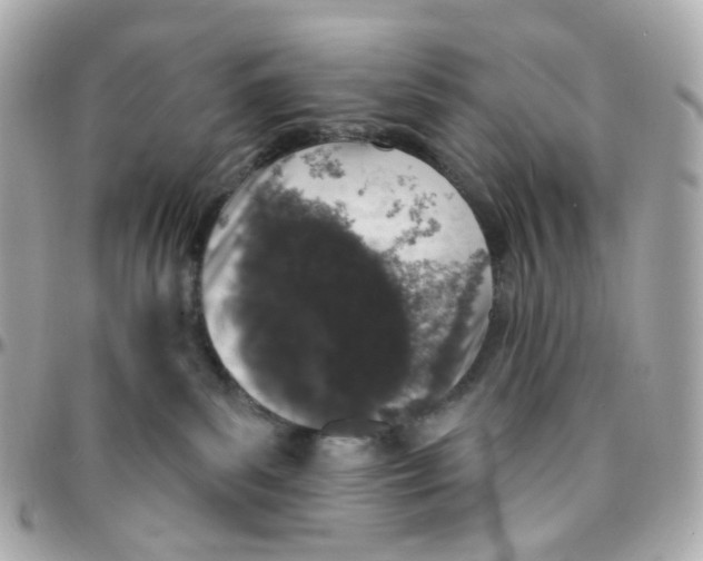 X0000095900139200802011136