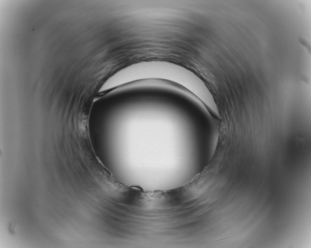 X0000095900141200802011136