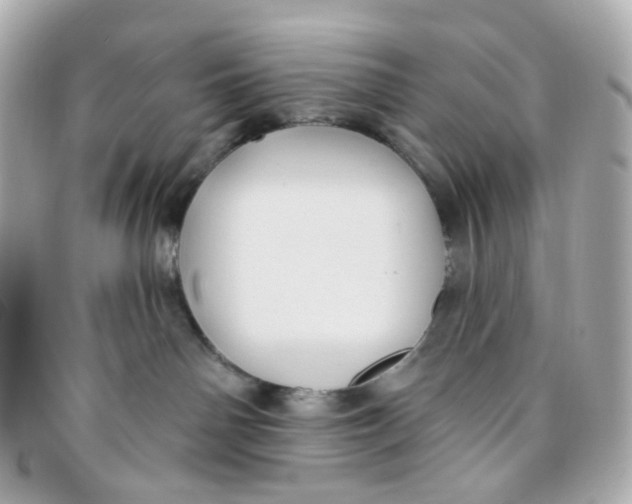 X0000095900142200802011136