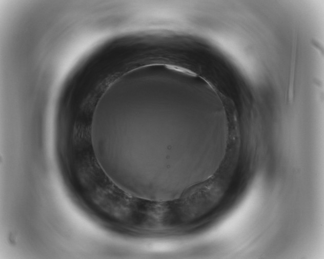 X0000095900143200802011136