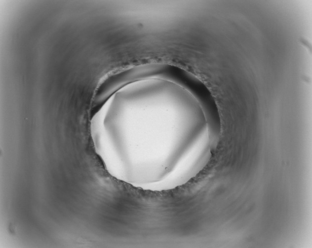 X0000095900144200802011136