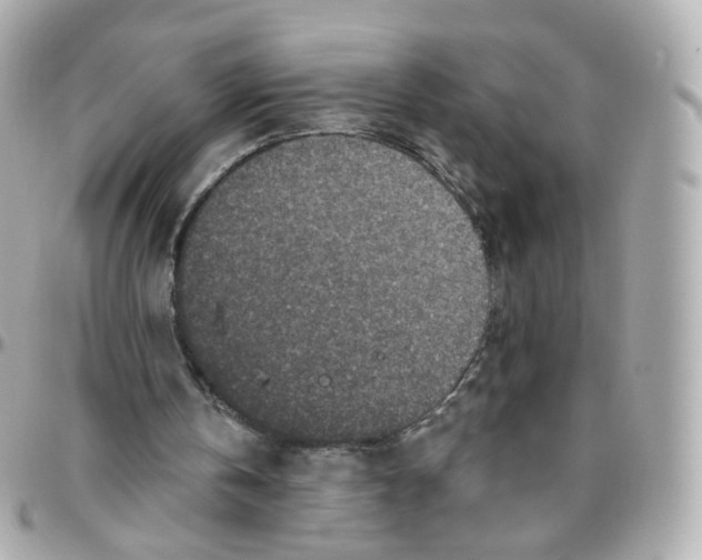 X0000095900146200802011136