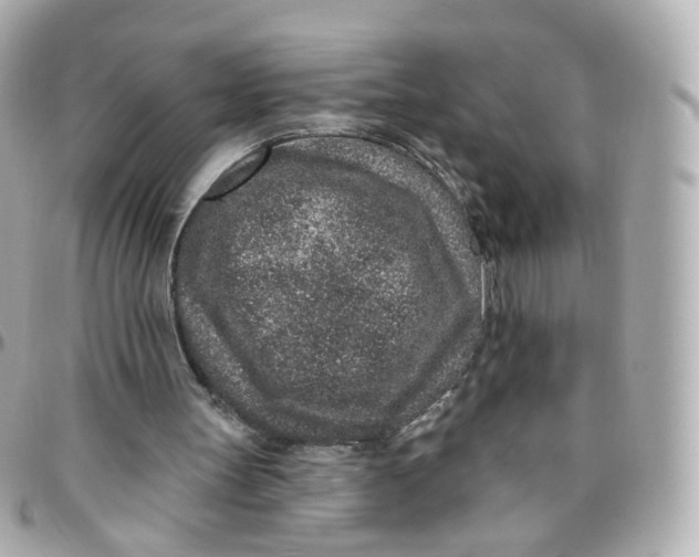 X0000095900147200802011136