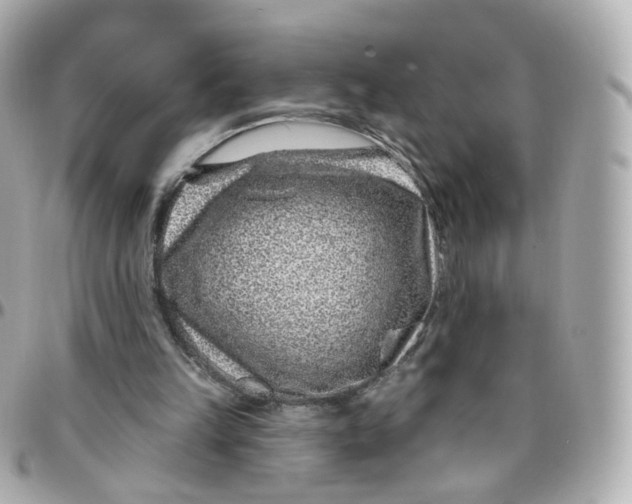 X0000095900149200802011136