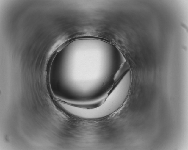 X0000095900150200802011136