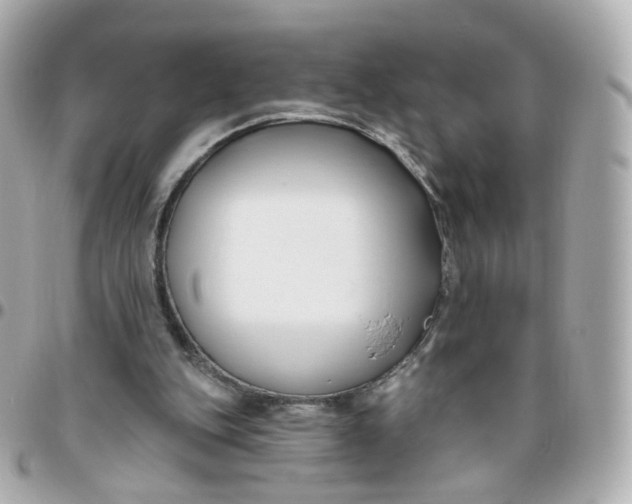 X0000095900151200802011136