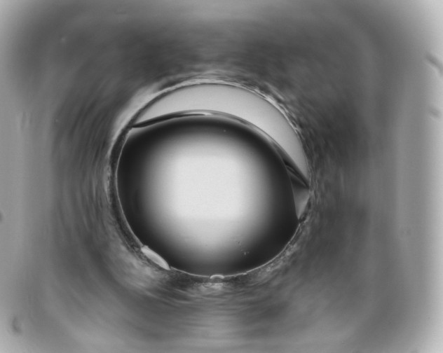 X0000095900152200802011136