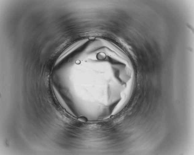 X0000095900153200802011136