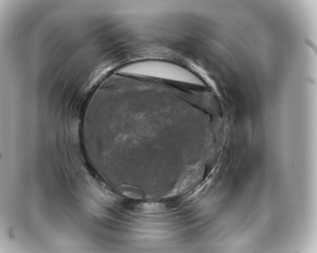 X0000095900154200802011136