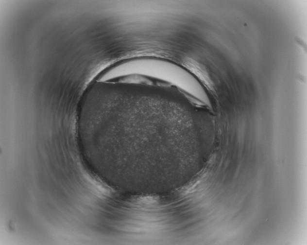 X0000095900156200802011136