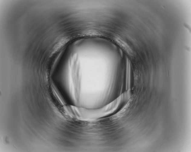 X0000095900158200802011136