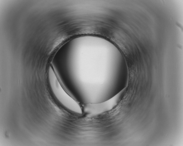 X0000095900160200802011136