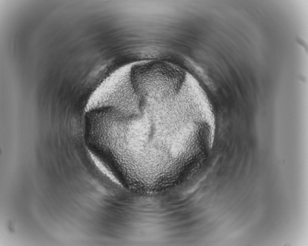 X0000095900161200802011136