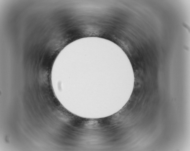 X0000095900162200802011136