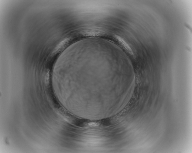 X0000095900163200802011136