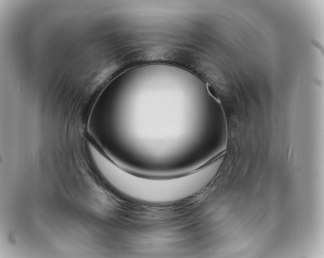 X0000095900164200802011136