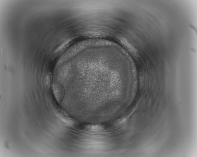 X0000095900165200802011136