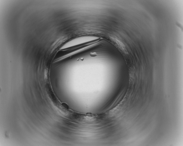 X0000095900166200802011136