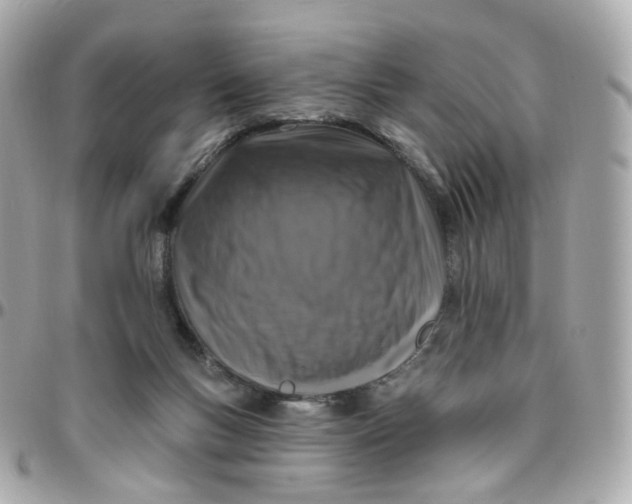 X0000095900167200802011136