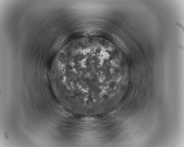 X0000095900169200802011136