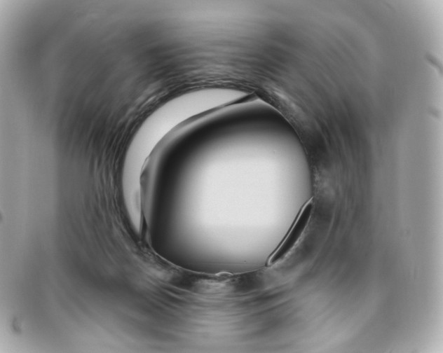 X0000095900170200802011136