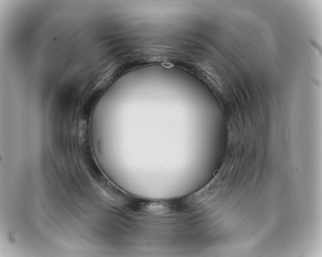 X0000095900171200802011136