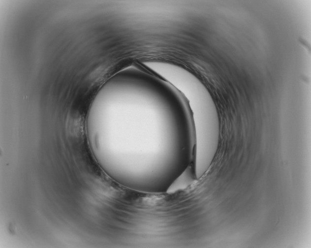 X0000095900172200802011136