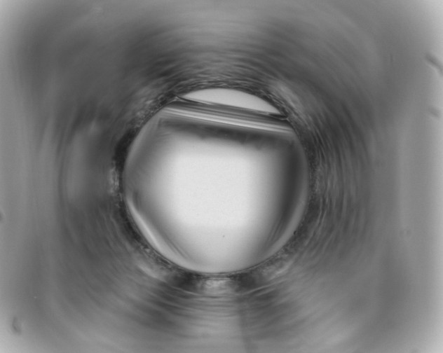 X0000095900173200802011136