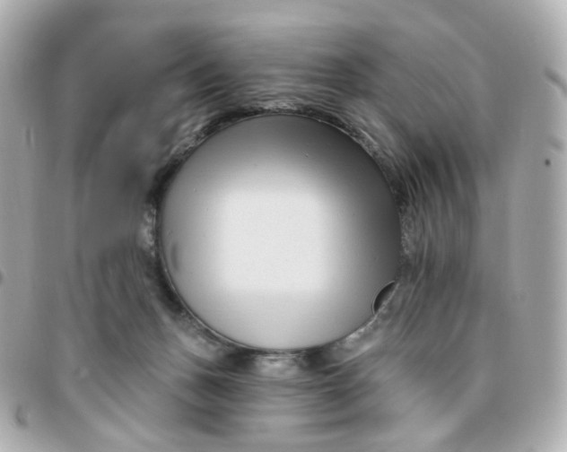 X0000095900175200802011136