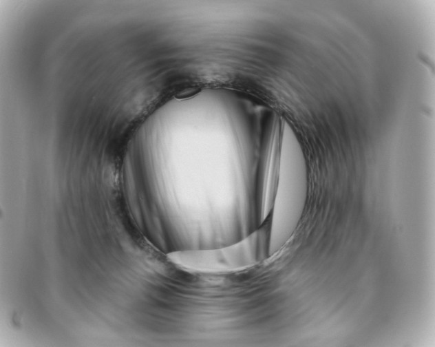 X0000095900176200802011136