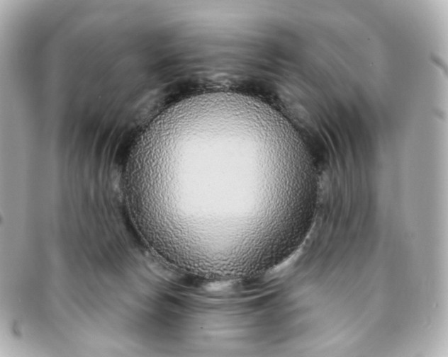 X0000095900178200802011136