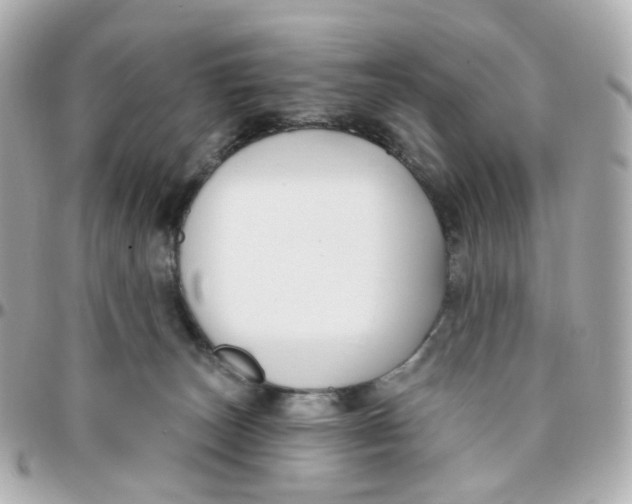 X0000095900179200802011136