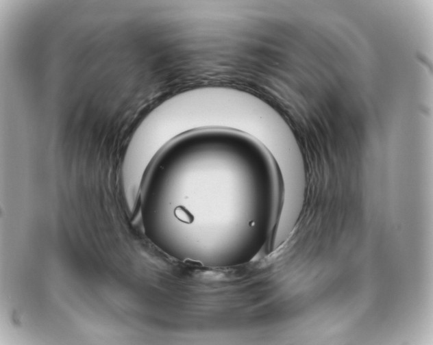 X0000095900180200802011136