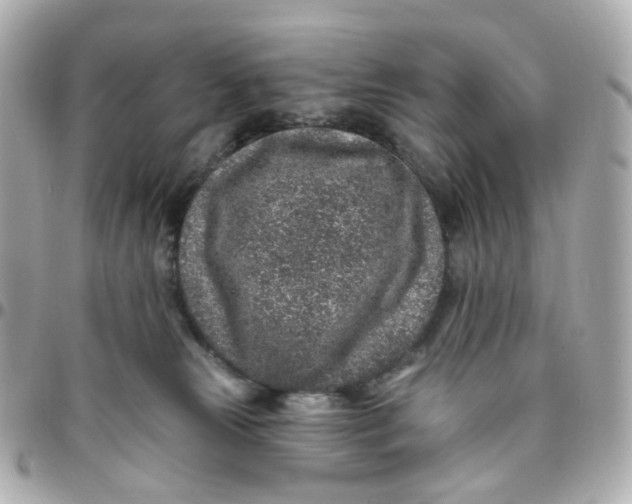 X0000095900181200802011136