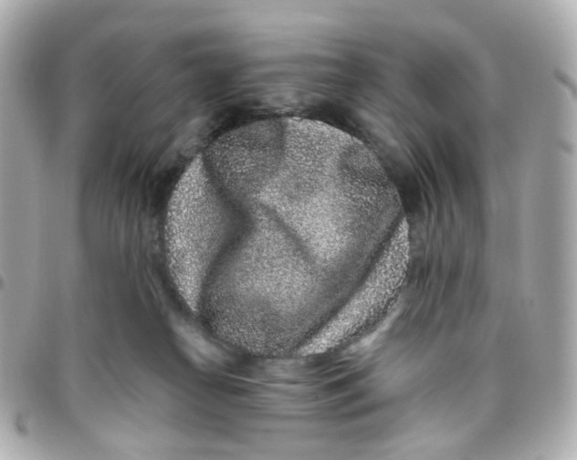 X0000095900182200802011136