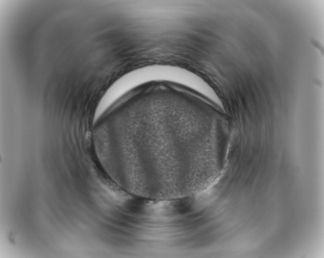 X0000095900186200802011136