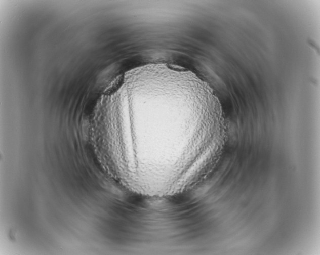 X0000095900189200802011136