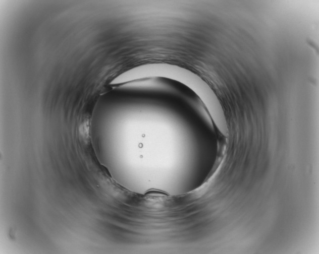 X0000095900190200802011136