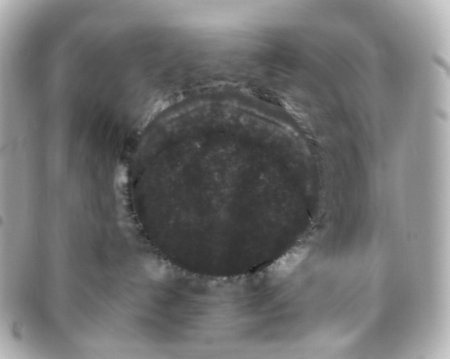 X0000095900192200802011136