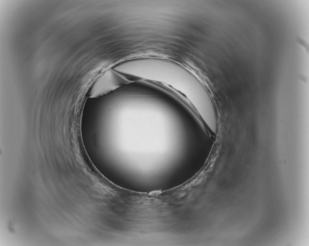 X0000095900193200802011136