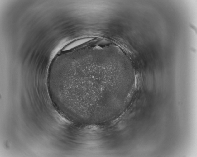 X0000095900195200802011136